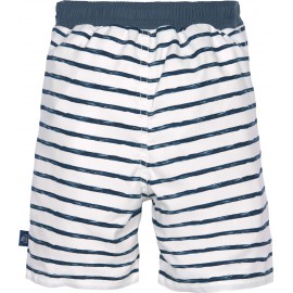 Boardshort Stripes - Navy Boardshort Stripes - Navy